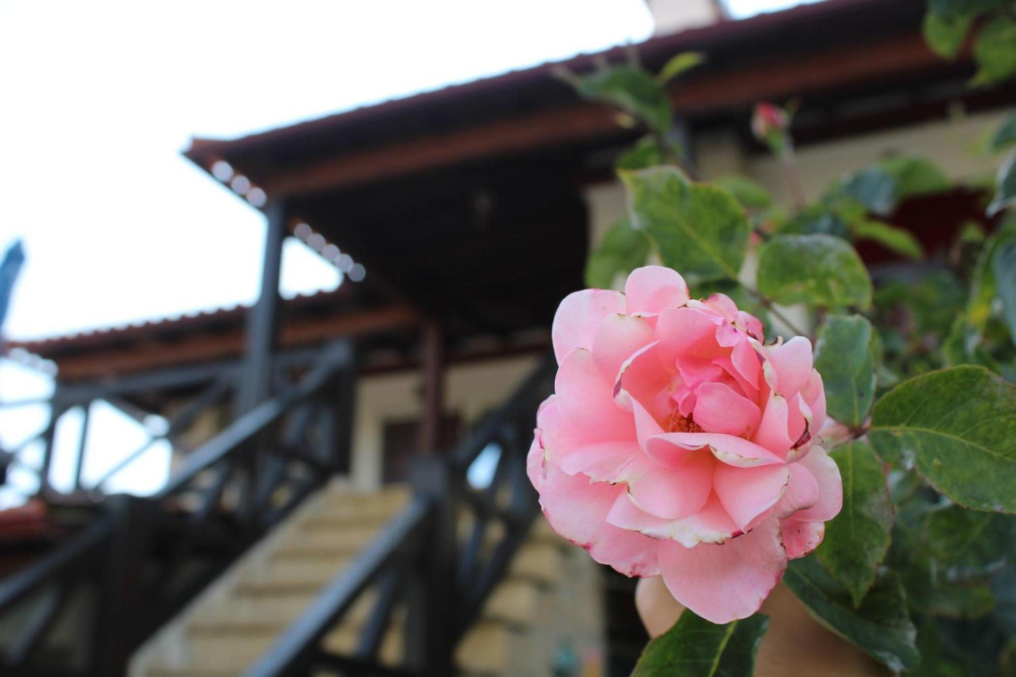 Casa Da Aldeia Da Avo Bed & Breakfast Valpaços Exterior foto